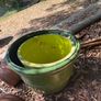 plant pots job lot Image 4