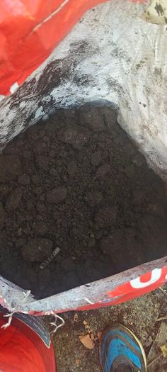 Top Soil