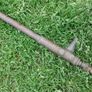 Antique brass Syringe Sprayer ABOL Insect Sprayer Image 7