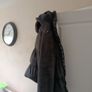 men's coats Image 4