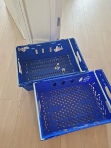 boxes moving