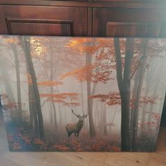 Large Canvas