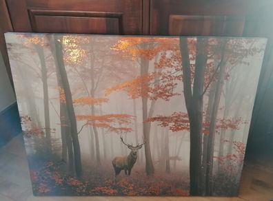 Large Canvas