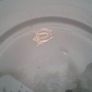 Decorative Plate Image 3