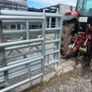 Extendable gates and barriers Image 2