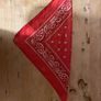 Red Bandana Image 2