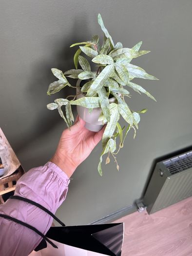 plastic house plant