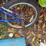 bike Image 3