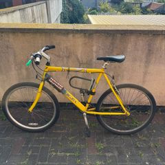 Raleigh mountain bike with lock