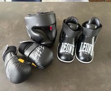 Sparring gear