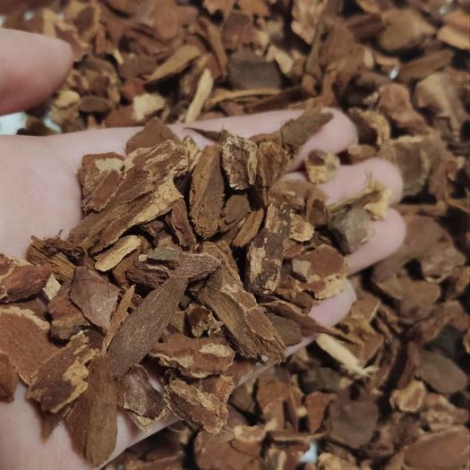 Orchid Fir Bark