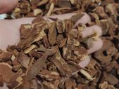 Orchid Fir Bark