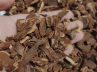 main image for ad Orchid Fir Bark
