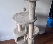 cat tree