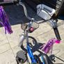 special needs trike. Image 7