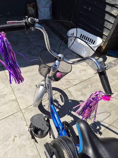 special needs trike.