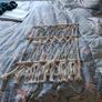 Teddy hammock Image 3