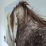 Canvas Horse lovers Image 4