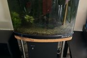 boyu fish tank