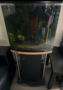 boyu fish tank