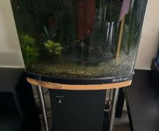 boyu fish tank