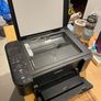 Canon Inkjet Printer MG4250 Image 2