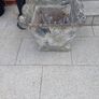 garden planter Image 2