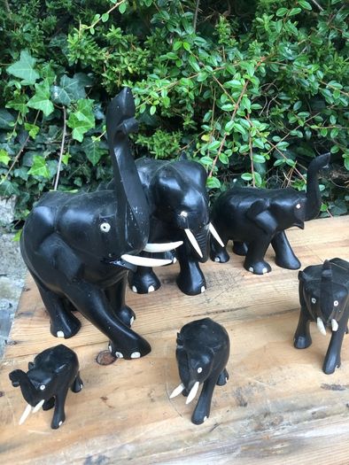 Elephant Collection