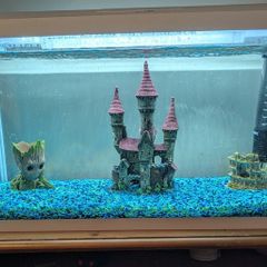 Fish Tank and Accessories