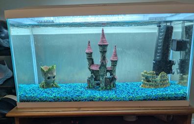 Fish Tank and Accessories