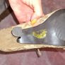 New 2 pairs Ruby shoes Image 8