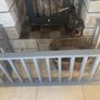 Safety Fire Guard Image 2