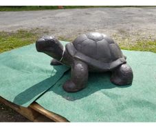 Turtle Dark Large GA59