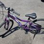Giant 24" Hybrid Bike  8 Speed Image 5