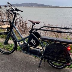 Bike 43 long tail with cargo set up