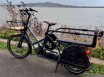 Bike 43 long tail with cargo set up
