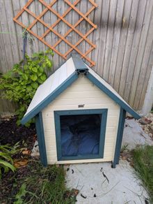 small dog kennel