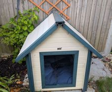 small dog kennel