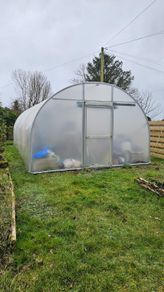 Polytunnel