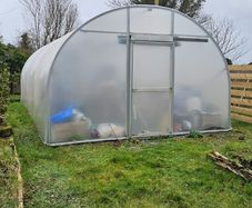 Polytunnel