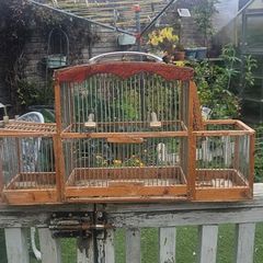 bird cage
