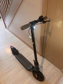 Electric scoter