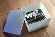 Large Coral Dip Box