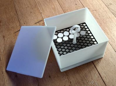 Large Coral Dip Box