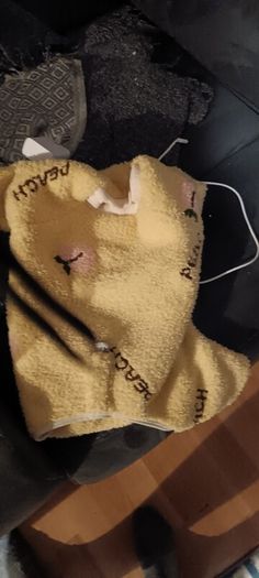 dog clothes