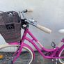 Kenzel Ladies Bike Image 3