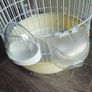 Small parrot cage Image 5