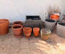 Plant Pots