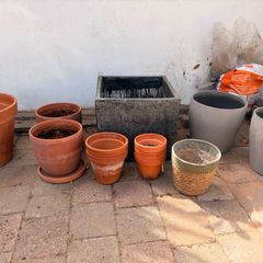 Plant Pots