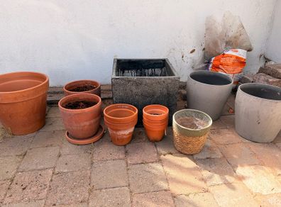 Plant Pots